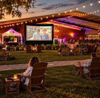 Outdoor Movie Night