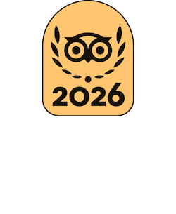 TripAdvisor 2026